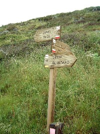 Cliquer pour agrandir