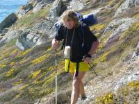 Cliquer pour agrandir