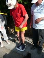 Cliquer pour agrandir